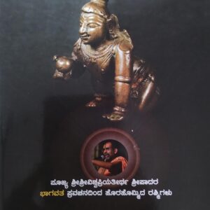 Sri Krishna Leela